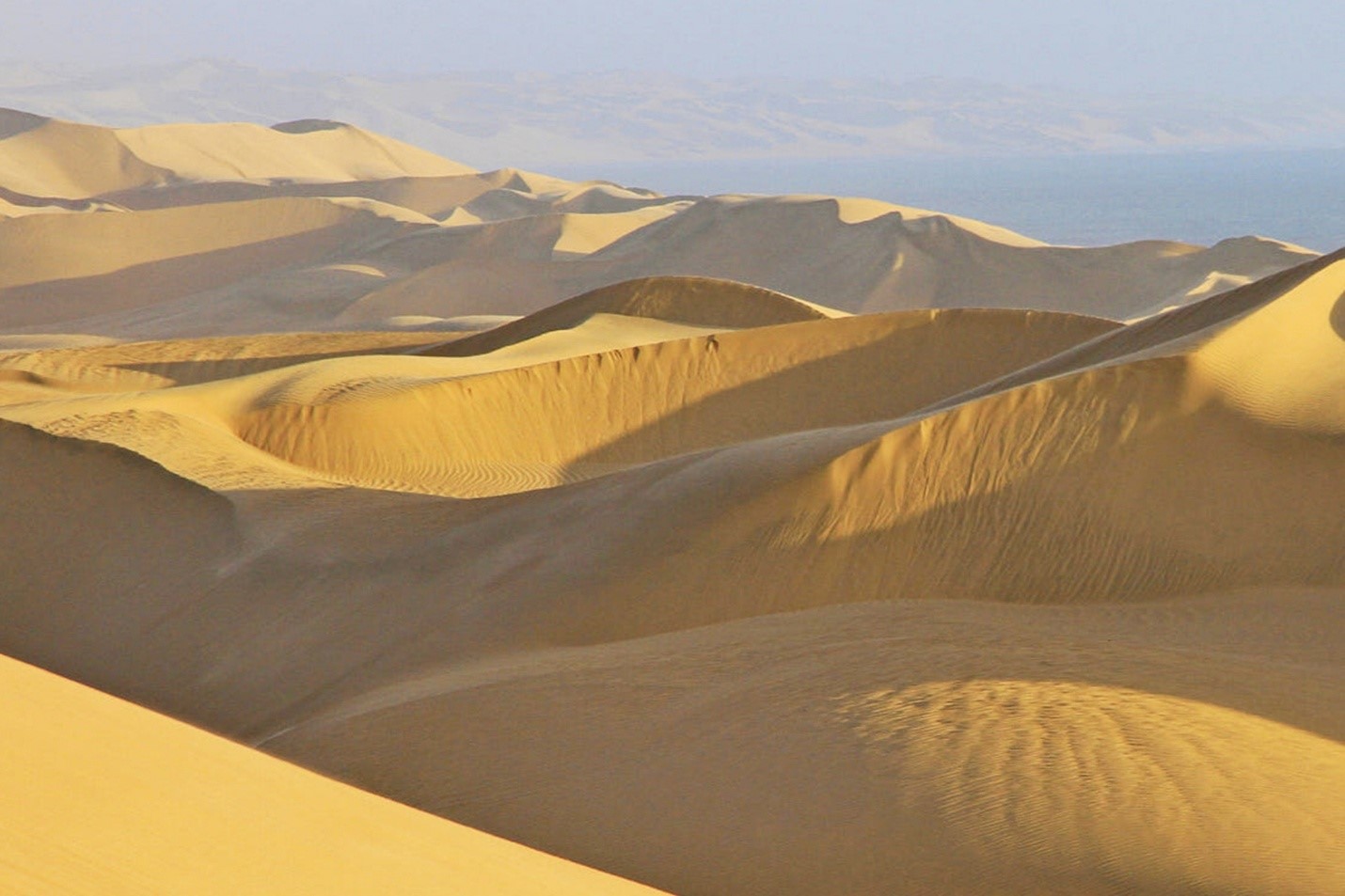 From City Streets to Rolling Dunes