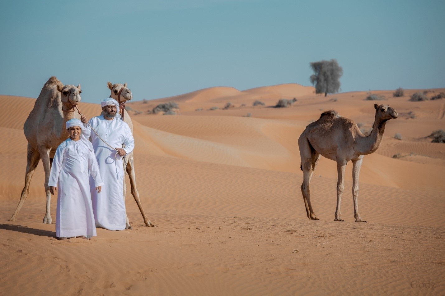 The Excitement that Abu Dhabi Desert Tour Creates 