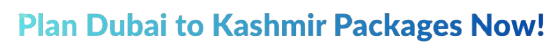 Plan Kashmir Package Holidays Now