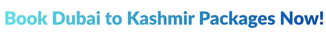 Book Dubai to Kashmir Packages Now