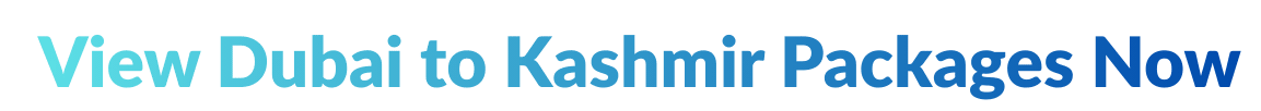 View Dubai to Kashmir Packages Now