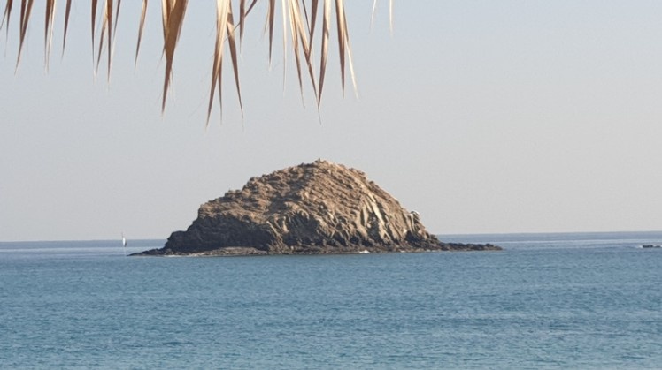 Dibba Musandam Tour from Dubai: What to Expect on a Day Trip