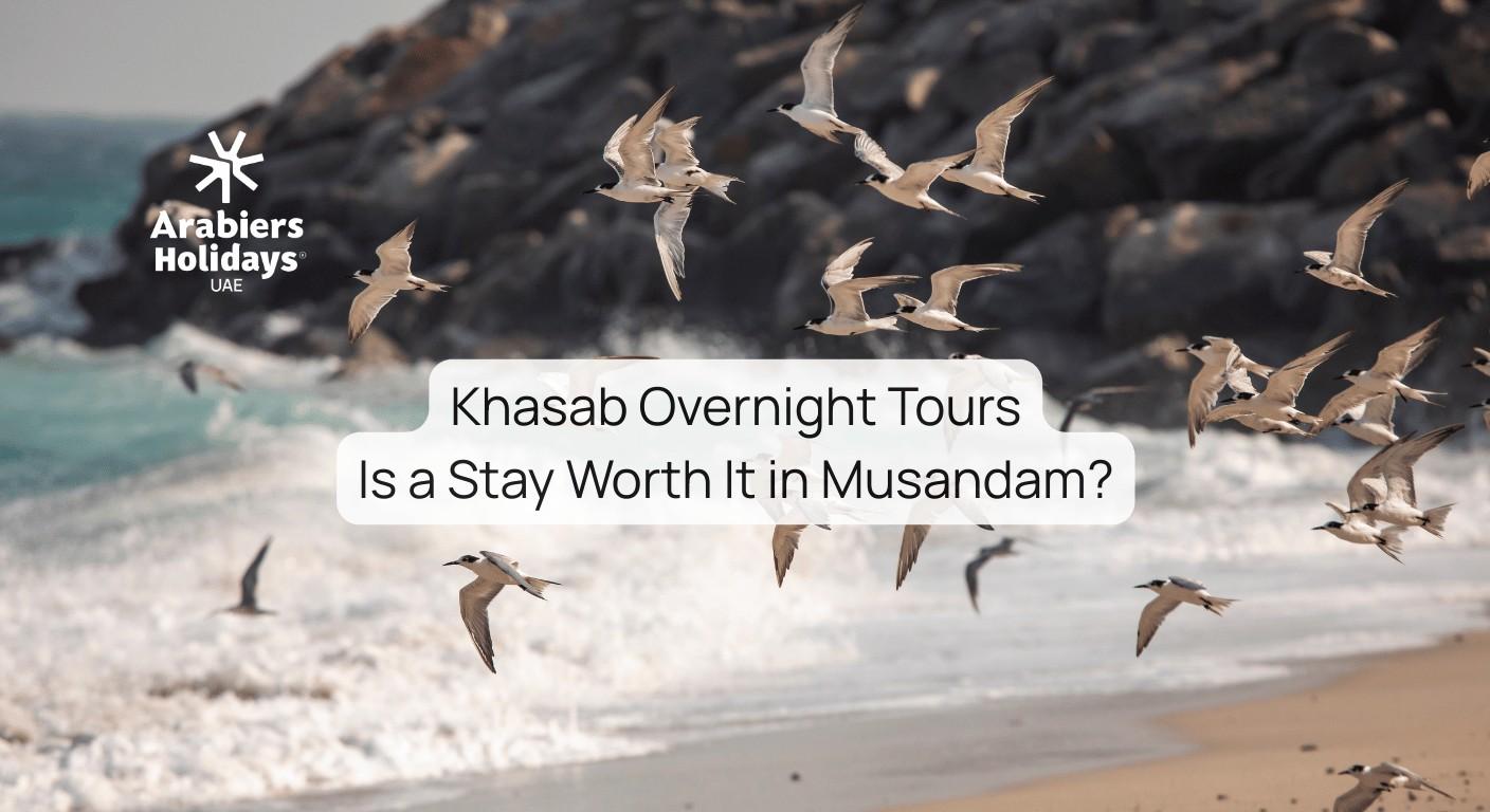 Khasab Tours: Is a Stay Worth It in Musandam?