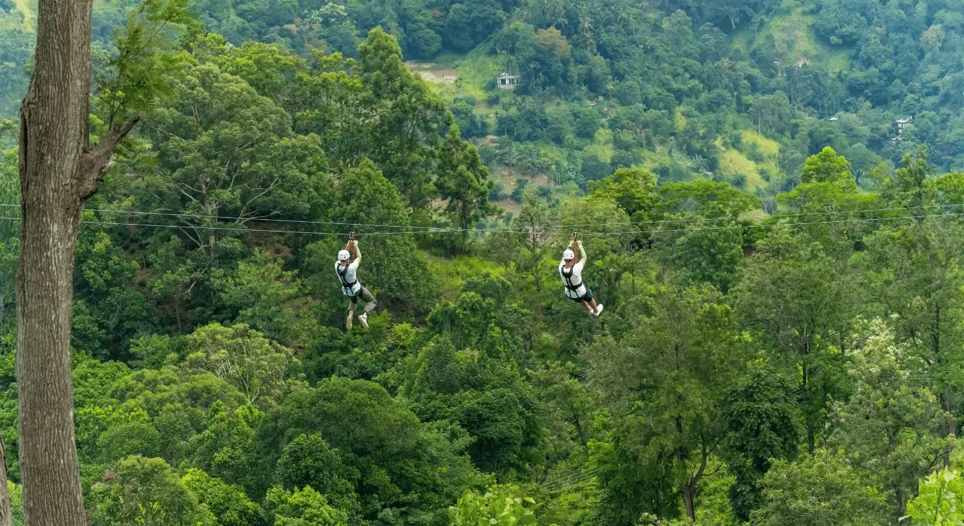 Two people ziplining high above a lush green forest