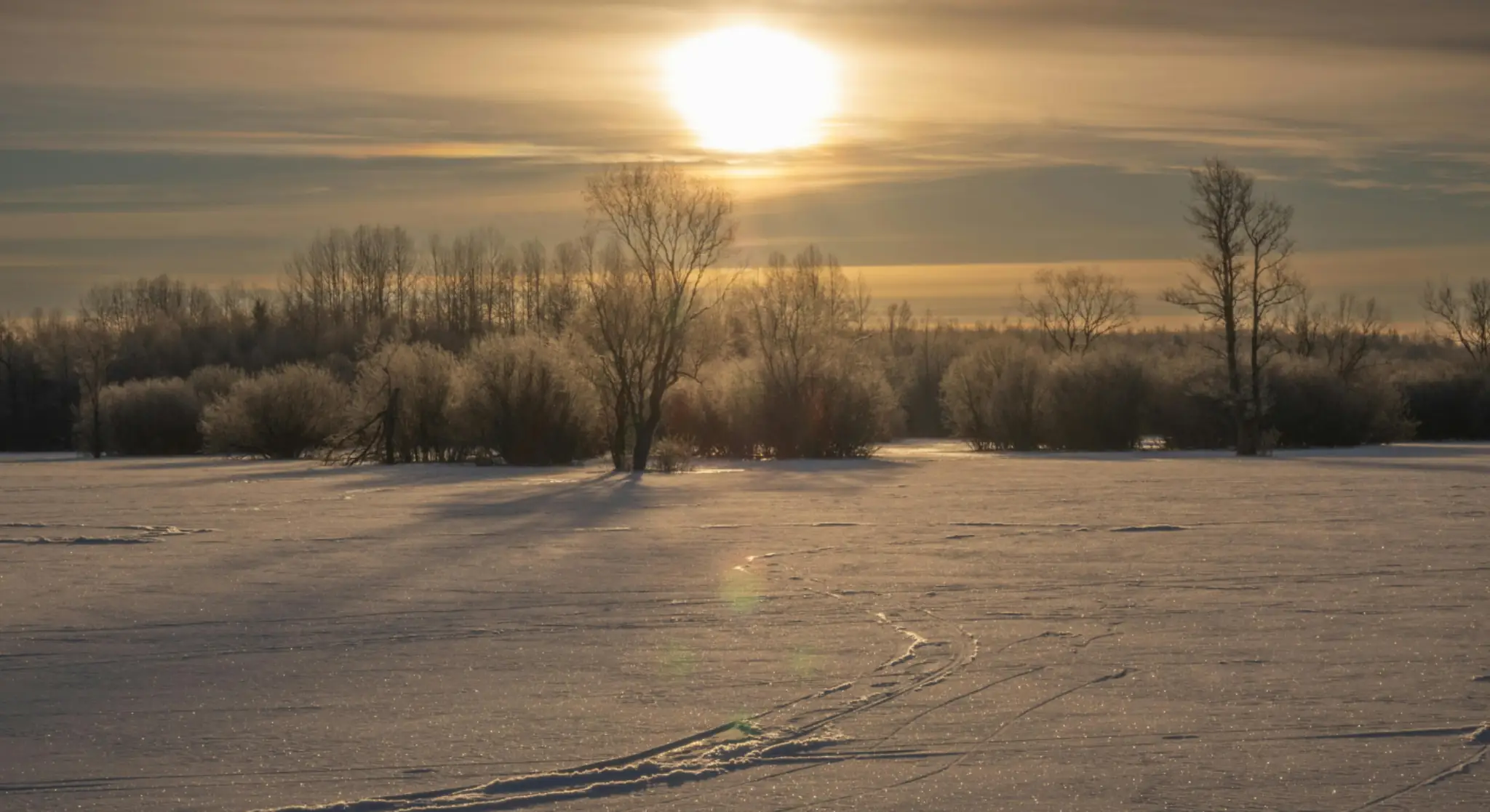 Winter sunrise over snowy landscape with trees and warm sunlight, representing seasonal travel and long-term winter stays 