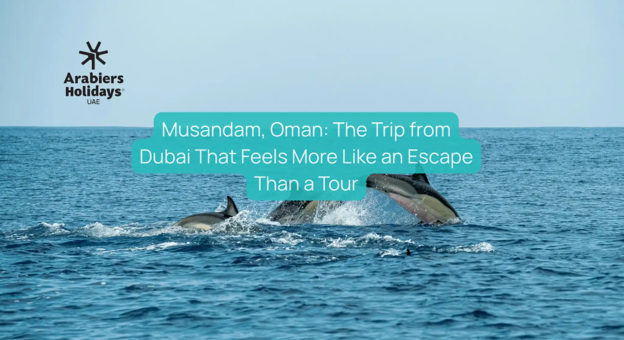 Musandam, Oman – A Dubai Getaway That Feels Like an Escape, Not Just a Tour