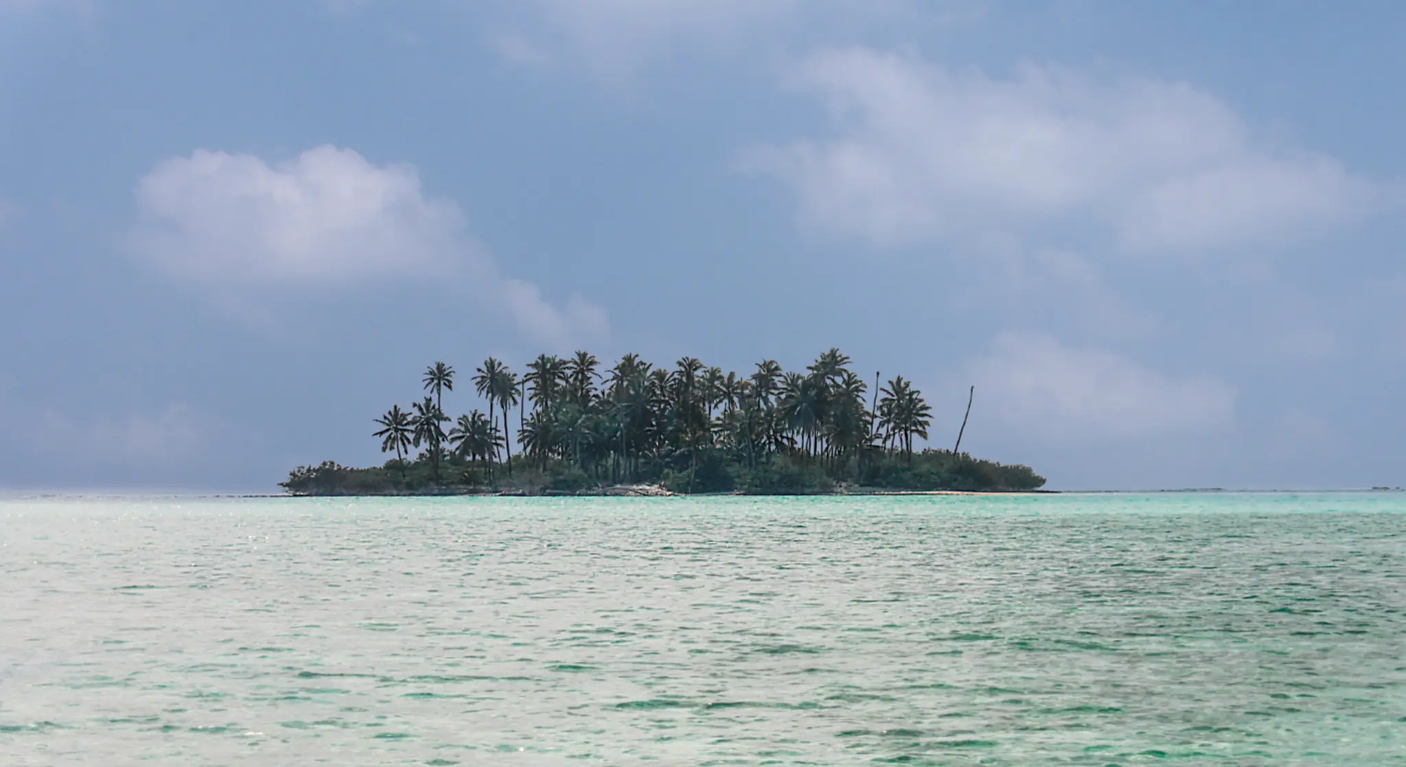 Tropical palm island surrounded by turquoise sea under cloudy sky near UAE coast 