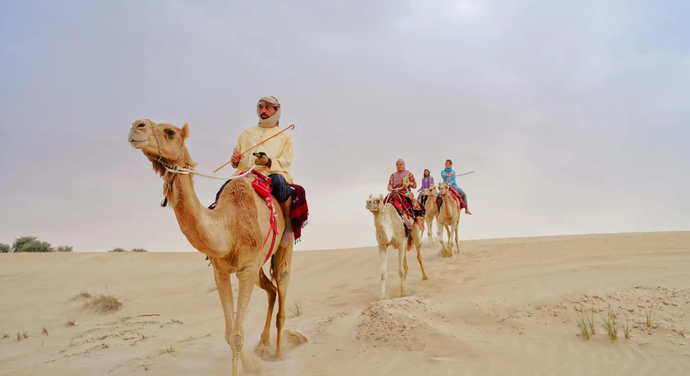 camels-standing-on-desert-dune-uae-desert