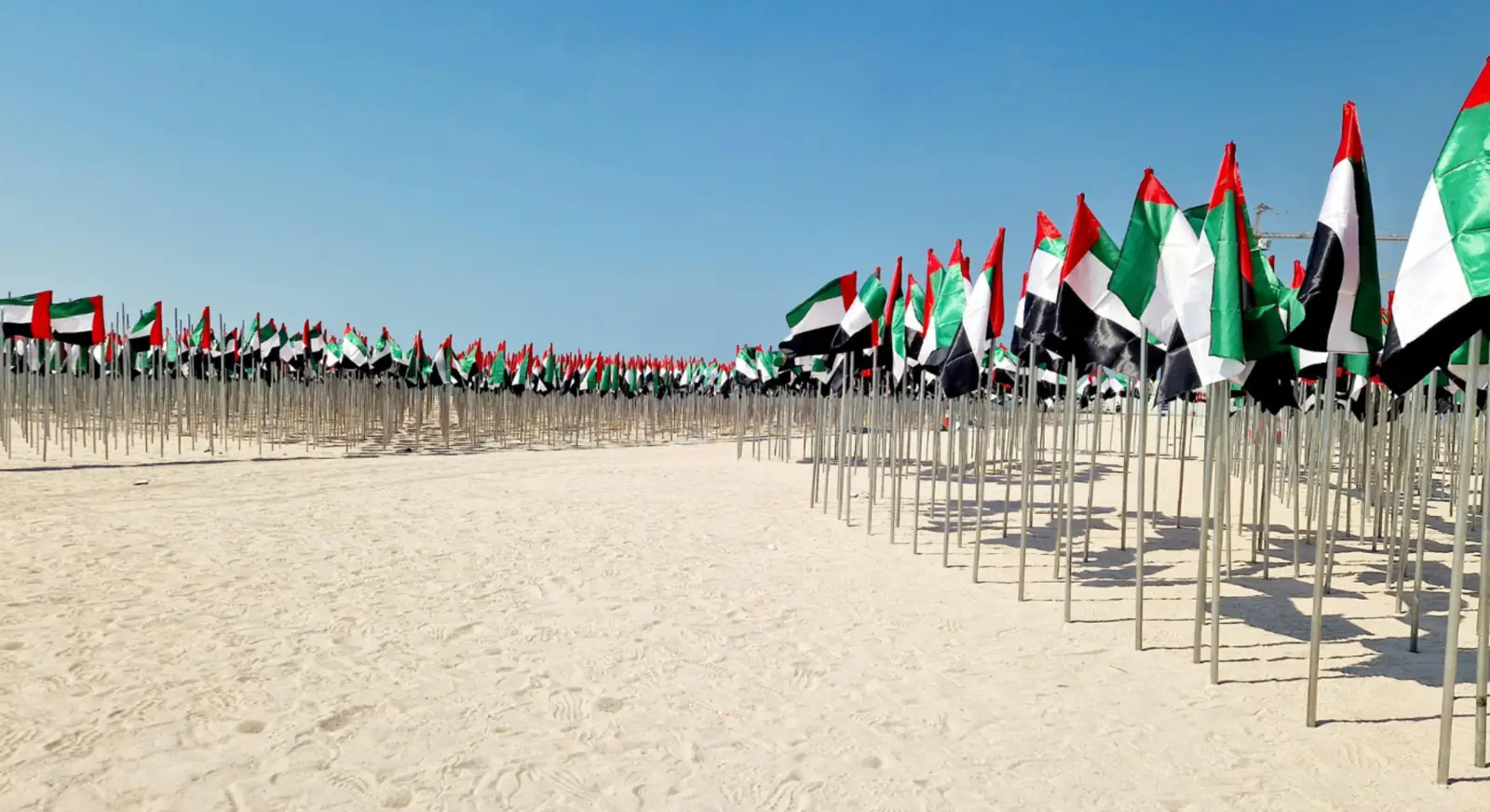 UAE national flags displayed in the desert during National Day celebration