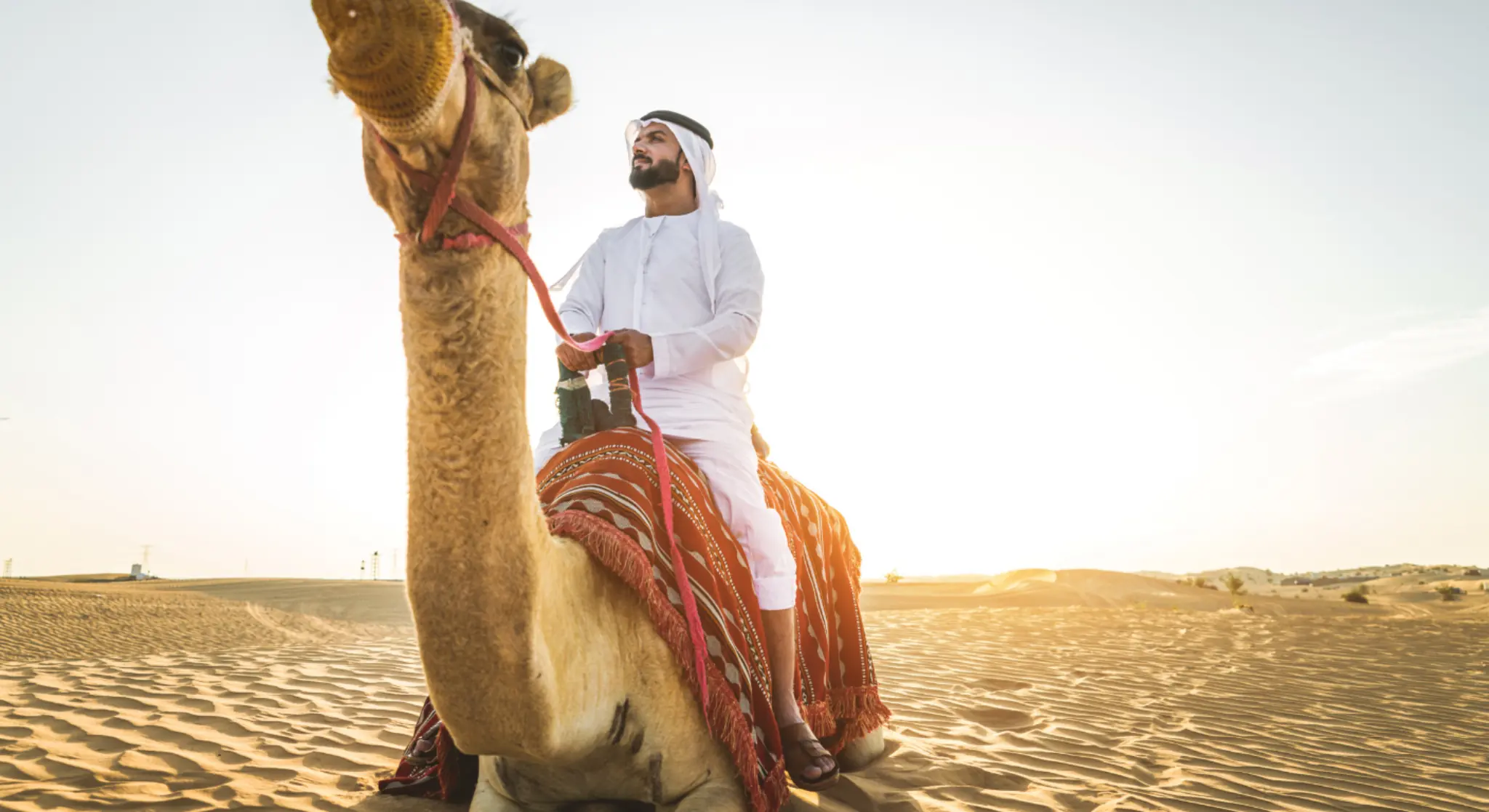 Camel ride experience during Abu Dhabi morning desert safari