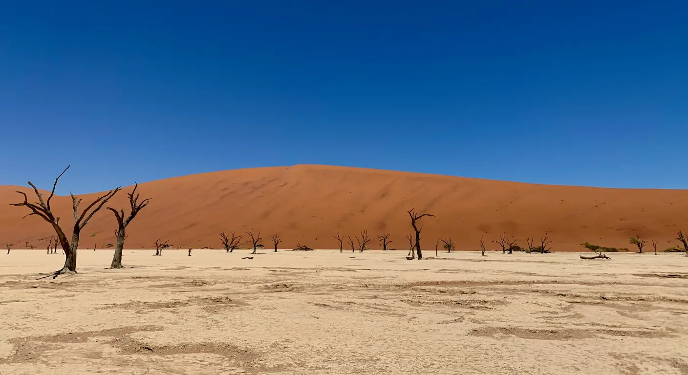 Wide view of Abu Dhabi desert dunes under clear blue sky landscape