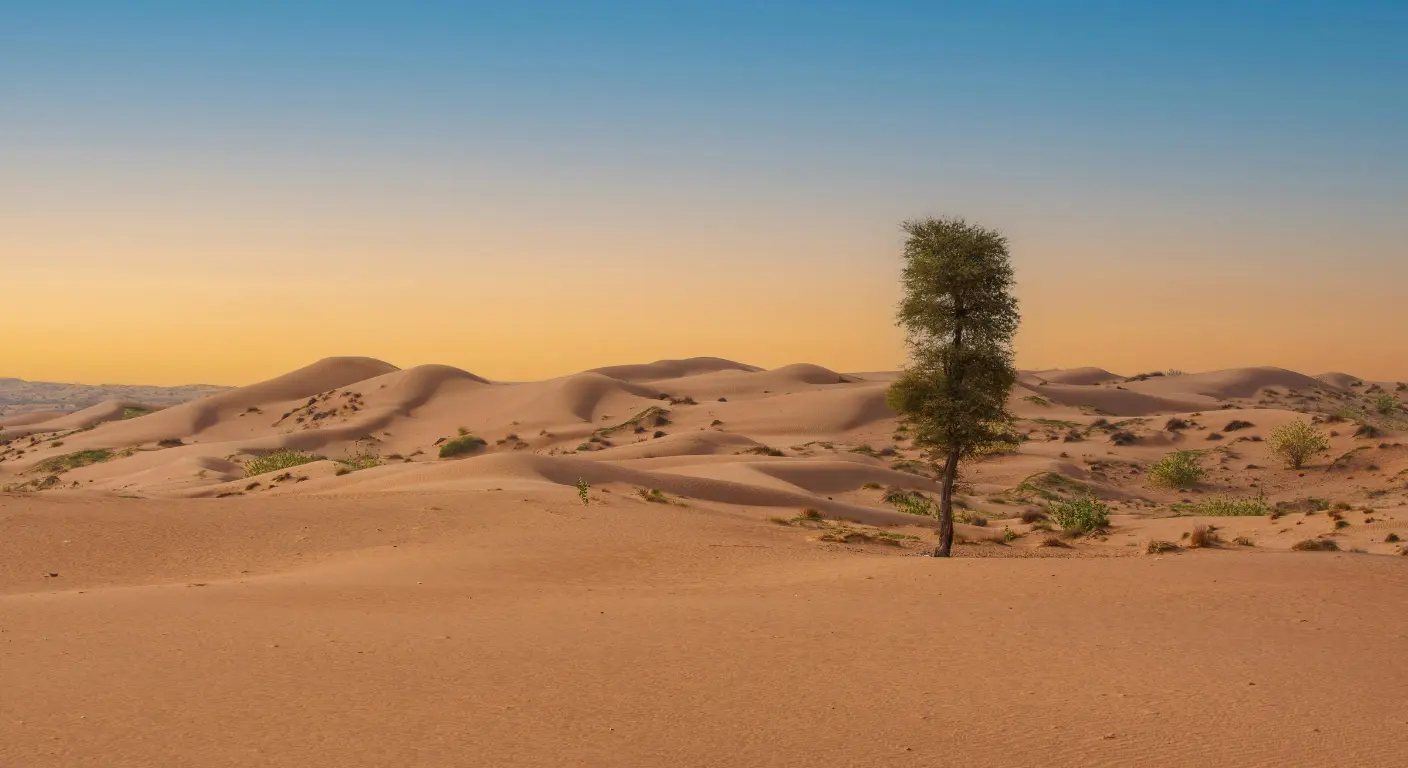 Abu Dhabi desert dunes landscape with lone tree at sunrise.