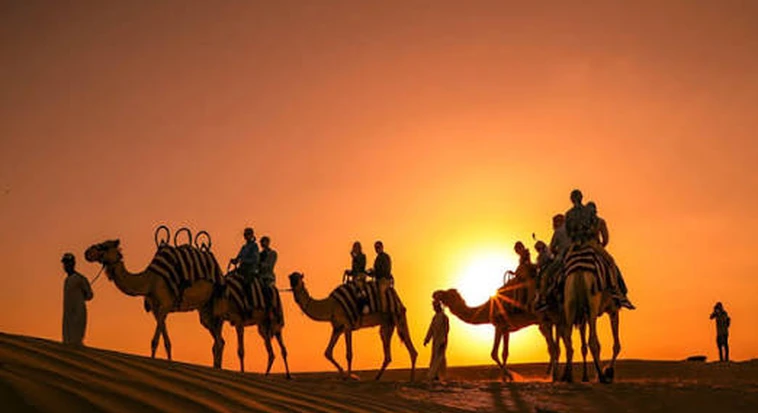 Camel riders silhouetted against the setting sun in the Abu Dhabi desert