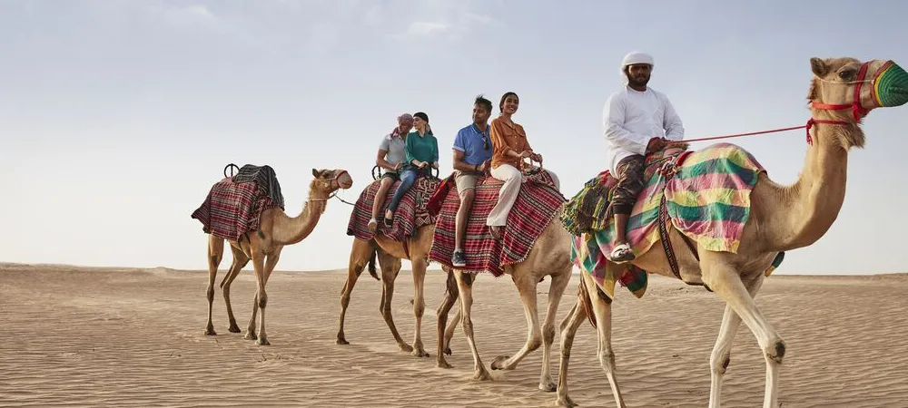 Visitors riding camels across the desert during a Liwa tour