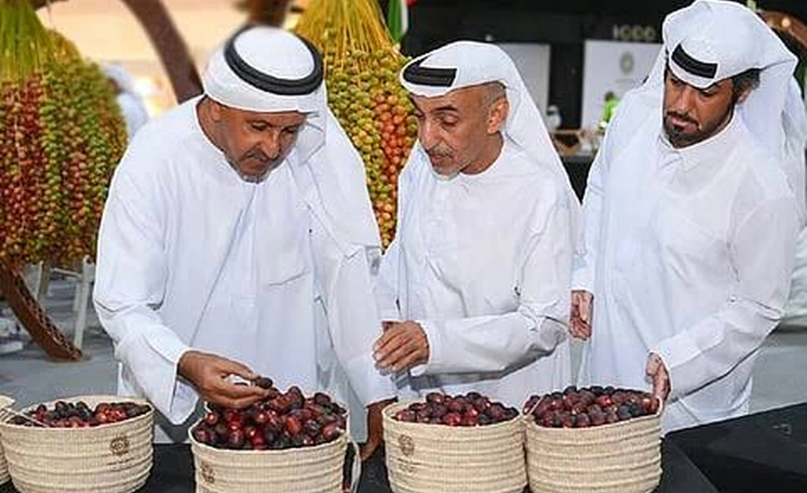 Liwa Date Festival 2026: Dates, Venue, What to Expect and How to Get There