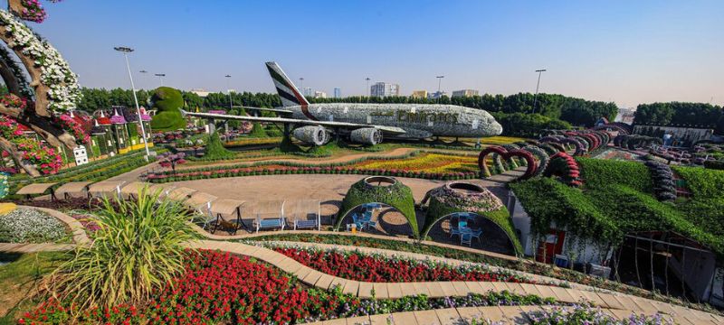 A Day at Dubai Miracle Garden: Season 15 Plan, Tickets, Timings and Expert Tips