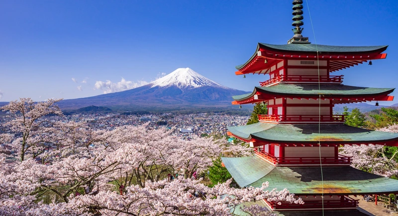 Best Time to Visit Japan from Dubai