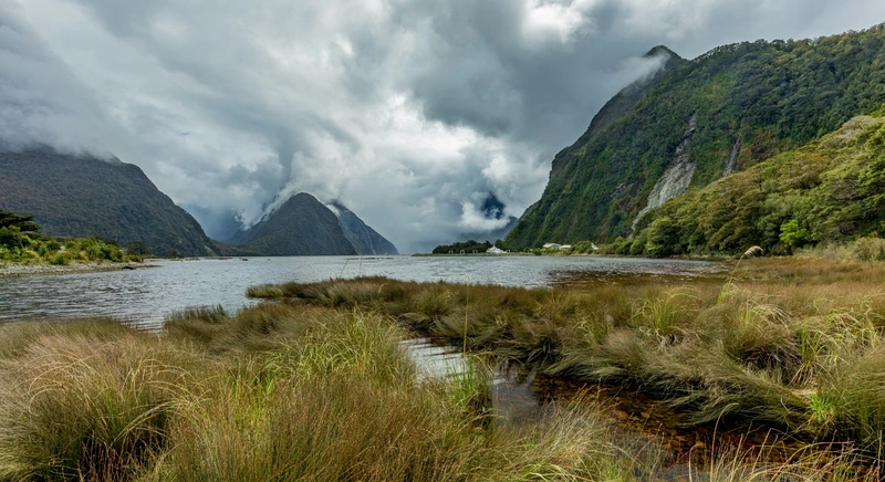 Best Time to Visit New Zealand from Dubai