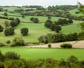 Cotswold Hills countryside on the Great Britain Heritage Tour