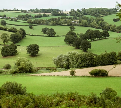 Cotswold Hills countryside on the Great Britain Heritage Tour