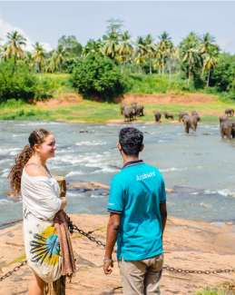 Arabiers Holidays Sri Lanka guest and team member viewing elephants by the river during a Sri Lanka holiday package route experience by Jude Abraham