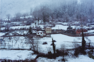 Heavenly Winter Kashmir Tour package