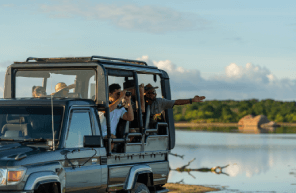Yala Luxury Safari with Ranger