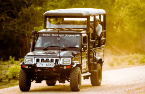 Yala Safari with Driver Guide