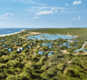 Yala Safari with Premium Lunch Buffet