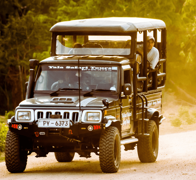 Yala Safari with Driver Guide
