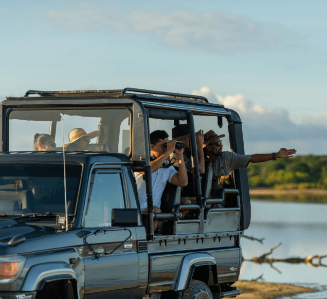 Yala Luxury Safari with Ranger