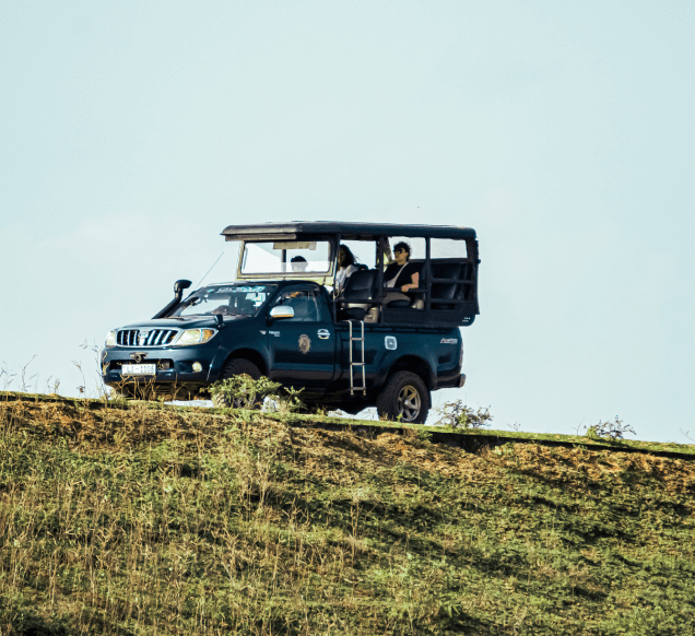 Yala Safari with National Guide