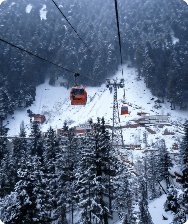Winter Wonderland